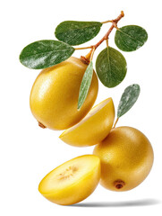 golden kiwi and green leaves on white