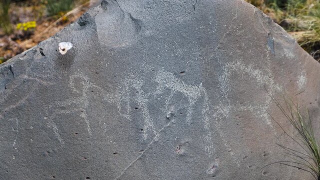 Historical rock paintings in Ulytau, Kazakhstan, depicting early human life and ancient civilizations.