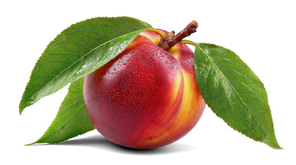 Peach slices on white background