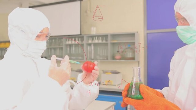 Animation of mathematical equations over caucasian scientists vaccinating tomato