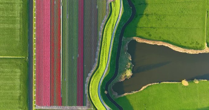 Aerial view of a winding road on a dam surrounded by fresh green fields. Drone shot of an asphalt path curving through the rural countryside on a bright sunny day. Scenic transportation infrastructure