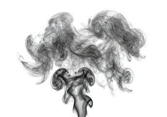Fototapeta premium Abstract gray smoke swirls design, elegant and ethereal isolated on white background
