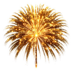 Fototapeta premium Golden Firework Burst: Stunning Celebration Display - New Year, Festivals, Parties, and Special Occasions