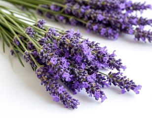 a bouquet of lavender on a white background.
