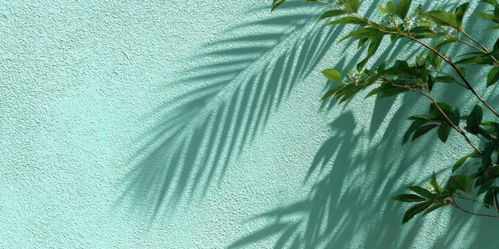 Sunlit palm leaves and green foliage against a textured turquoise wall