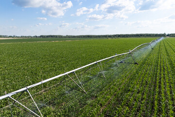 Aerial view of agricultural watering pivot irrigation system on a corn field