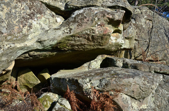 rochers, sentier Denecourt Colinet, Cabaret Masson, parcour de la Solle, Foret de Fontainebleau, region Ile de France, 77, Seine et Marne, France