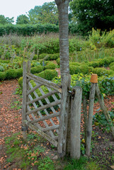buis taill&eacute;, pommier en espalier, jardin potager, Parc et jardin , chateau de La Roche Jagu, Plo&euml;zal, 22, Cotes d Armor, R&eacute;gion Bretagne, France