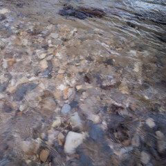Clear Mountain Stream Water Flowing Over Rocky Riverbed