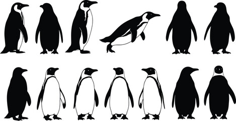Penguin silhouette set, emperor and king penguins standing and swimming, arctic wildlife icons, antarctic bird vector graphics, cute flightless animals collection © Lija