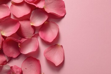Fototapeta premium Pink rose petals scattered on soft background