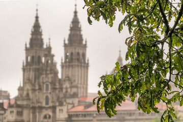 Fototapeta premium View of Santiago Cathedral Towers Through Wet Oak Leaves