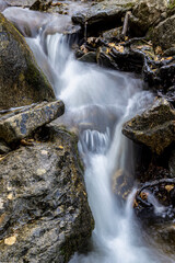 Arroyo en otoi&ntilde;o