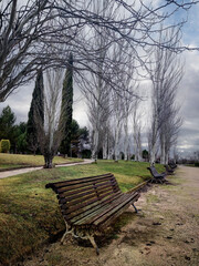 Invierno en el parque
