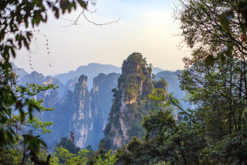 Obraz premium Zhangjiajie national forest park. A mountain range with a forest in the background