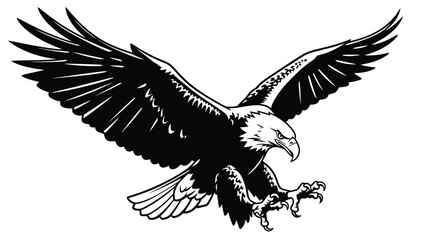 an impressive black and white eagle in flight wings spread wide silhouette © MDAUAL