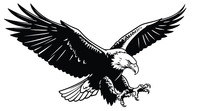 an impressive black and white eagle in flight wings spread wide silhouette