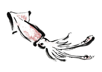 烏賊の和風筆イラスト素材