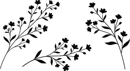Elegant black wild flower branch silhouettes, minimalist floral sketch set, botanical garden elements for nature design, wedding invites, and greeting cards © Hanifer