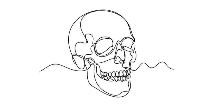 A minimalist illustration of a human skull drawn with a single continuous line art technique isolated on white background, Vector, illustration