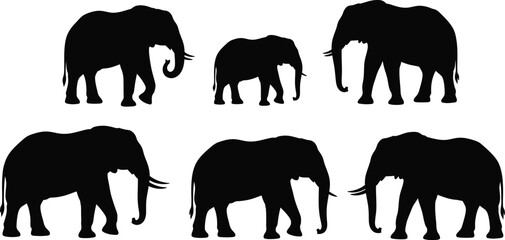 Herd of Elephants Silhouettes © Shuvro229