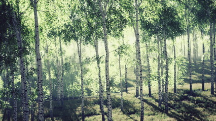 Light pours through lush trees in a quiet forest, creating a peaceful atmosphere. Soft grass covers the ground, enhancing the serene natural beauty of this tranquil scene.