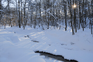 Winter forest covered with fresh snow and small forest river.