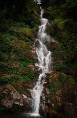 Massive Cinematic Calendar style Waterfall in the green woods of Sikkim India
