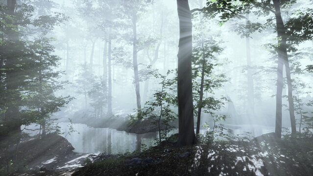 In a serene forest, gentle rays of sunlight pierce through thick fog, casting a mystical glow on a quiet pond. The scene is tranquil, inviting reflection and peace among the trees.