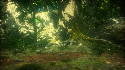 Obraz premium Sunlight gently streams through the thick canopy, casting soft rays on forest floor. Rich greenery and textures create a serene atmosphere, inviting a moment of peaceful reflection in nature.