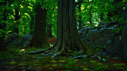 Obraz premium In this enchanting forest, massive trees tower above lush green undergrowth. Sunlight filters through leaves, creating a serene atmosphere filled with life and tranquility.