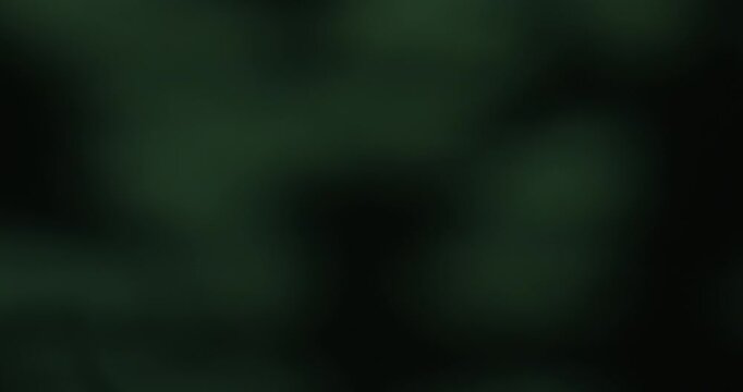 Abstract blurred green bokeh background with a soft focus effect, creating a soothing and calming atmosphere. Slow motion.