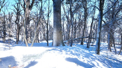 A peaceful winter scene unfolds in a snowy forest. Tall trees stand proudly against a bright blue sky, their branches coated in white. The soft snow blankets the ground, creating a serene atmosphere.