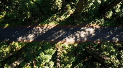 Aerial view of road year 2026 through dense forest shadows
