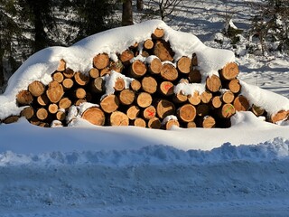 Wycinka lasu :/ © Maciej G. Szling