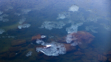 川を流れる氷　シガ　氷花　冬の茨城 © Yuuki Kobayashi