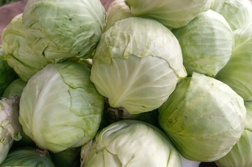 Obraz premium Beautiful Fresh green Cabbage heap at market Place 
