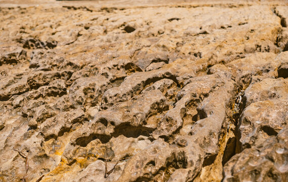 Close-up of crevices and karst ribs in limestone rocks
