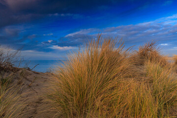 D&uuml;nenleben &ndash; Zwischen Wind, Gras und Meer
