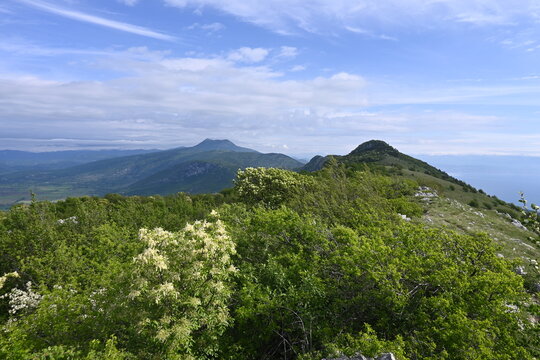 Vojak najwyższy szczyt, pasmo g&oacute;rskie G&oacute;ry Dynarskie, Park Narodowy Učka, Istria, Chorwacja, Europa, panorama, krajobraz, 