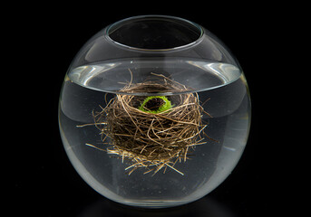 Bird nest in glass sphere
