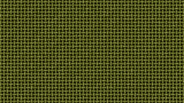 Woven fabric pattern fills the frame