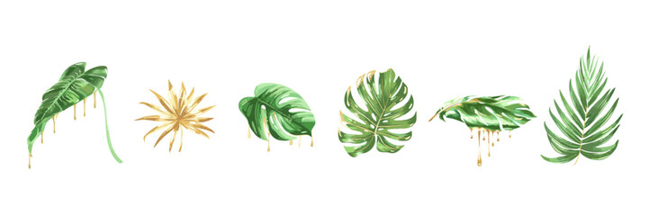 Tropical Palm Leaf with Dripping Gold Botanical Luxury Illustration. Elegant palm leaf accented with flowing liquid gold drips, modern tropical botanical design on white background.