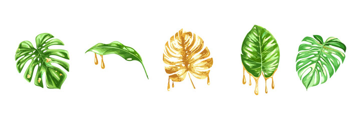 Golden Tropical Monstera Leaf with Metallic Texture Botanical Art. Stylized tropical monstera leaf in rich gold tones, luxurious botanical design element isolated on white.