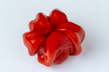 Brazilian Starfish chili pepper, also known as aji pepper. It has a distinctive starfish or bell shape, having a sweet and fruity flavor. It has a spicy kick, similar to the jalape&ntilde;o. 