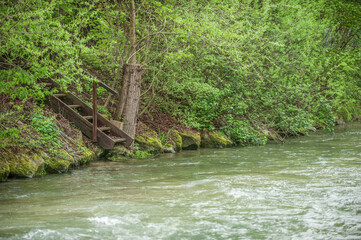 Fototapeta premium Hölzerne Treppe mit Geländer führt am dicht bewachsenen Steilufer an Fluss Erms bei der Flutmulde in Neckartenzlingen heran.