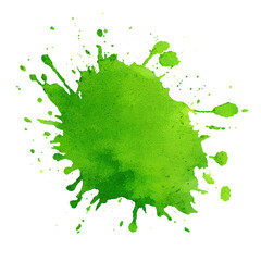 Vibrant green paint splatter isolated on transparent background with dynamic splashes