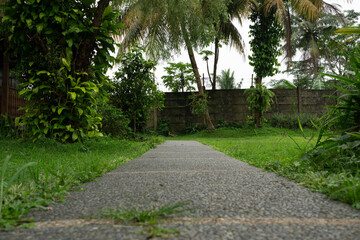 Obraz premium Narrow Stone Path Leading Through Lush Green Garden