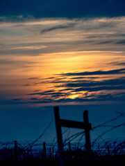 Sonnenuntergang im Weinberg