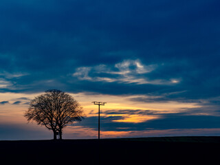 Baum neben. Strommast bei Sonnenuntergang